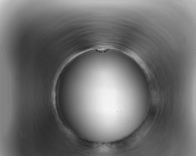 X0000089850955200707051113