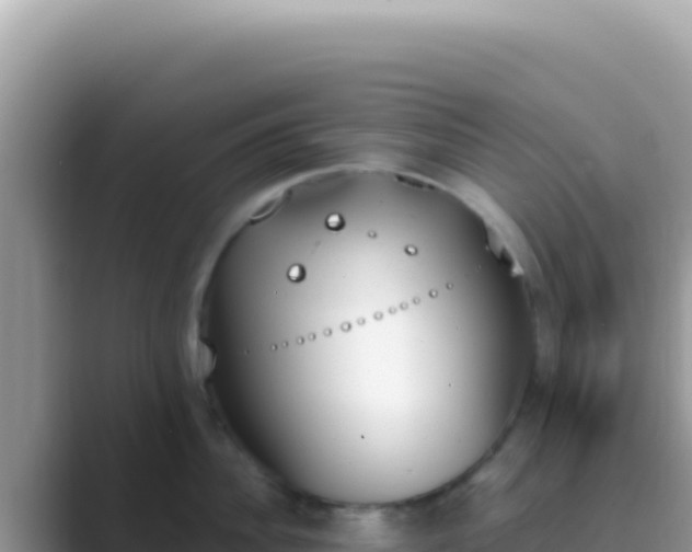 X0000089850956200707051113