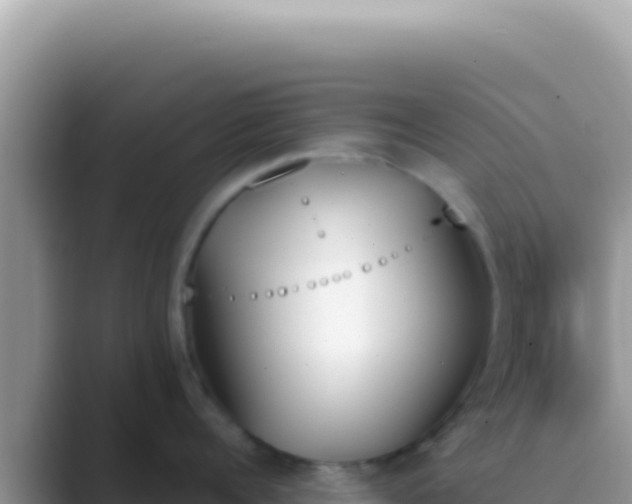 X0000089850960200707051113