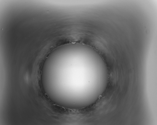 X0000089850961200707051112
