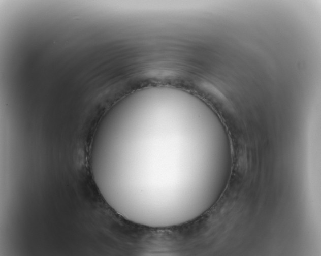X0000089850966200707051112