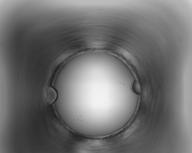 X0000089850970200707051112