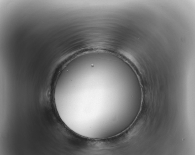 X0000089850971200707051112