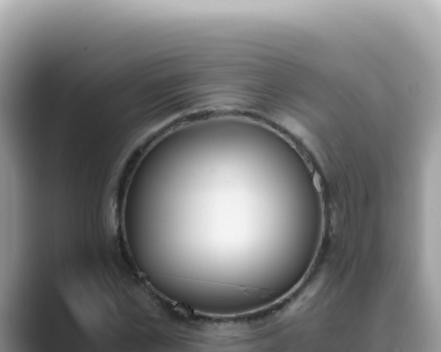 X0000089850973200707051112