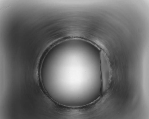 X0000089850976200707051112