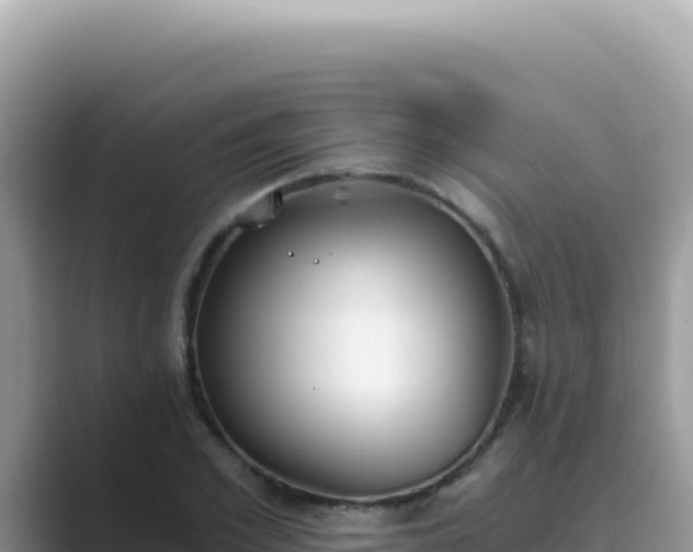 X0000089850981200707051112