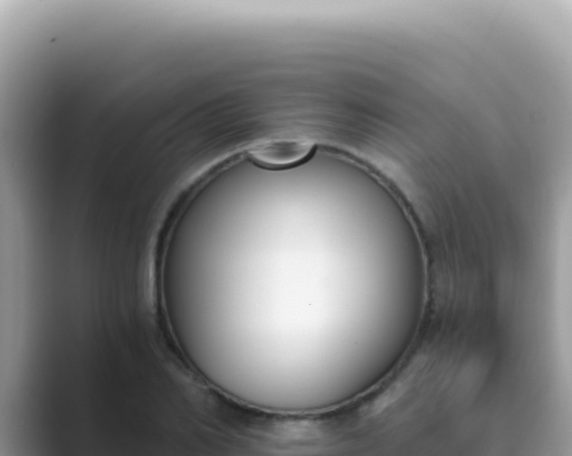 X0000089850982200707051112