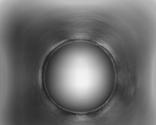 X0000089850983200707051112