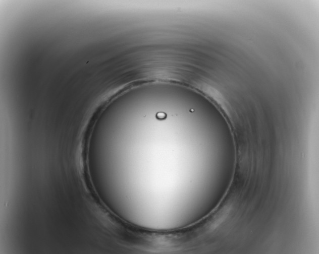 X0000089850987200707051112