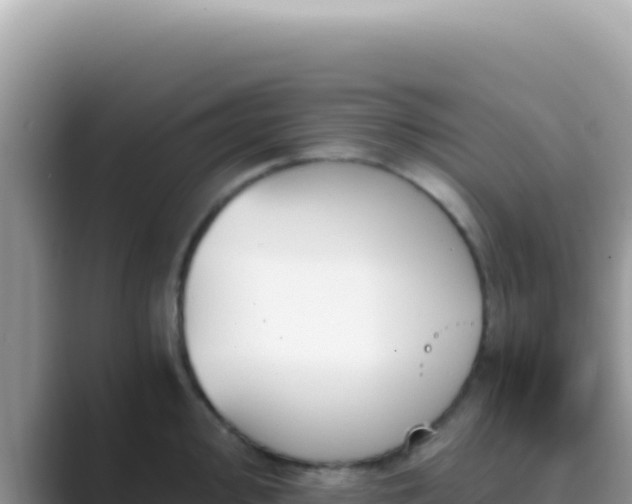 X0000089851000200707051112