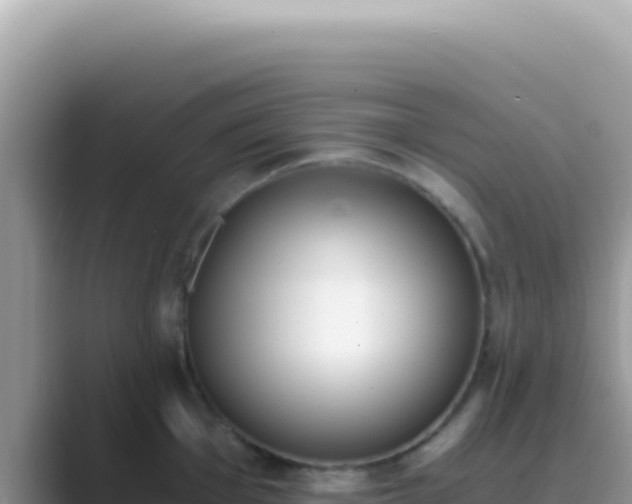 X0000089851001200707051112