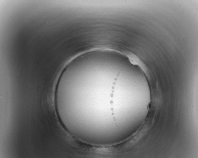 X0000089851004200707051112