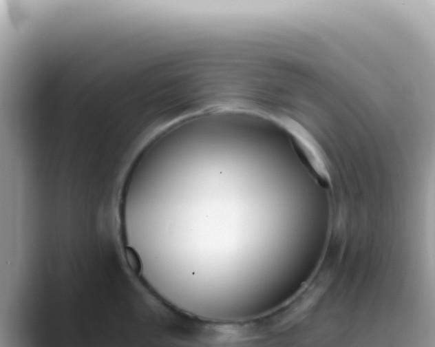 X0000089851005200707051112