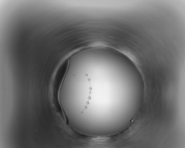 X0000089851008200707051111
