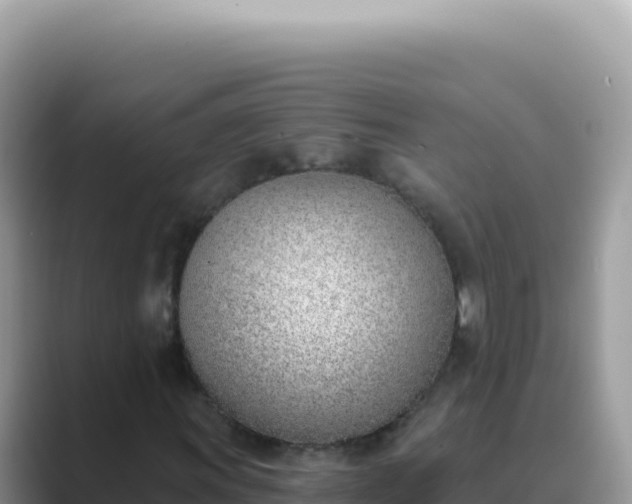 X0000089851011200707051111