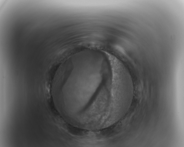X0000089851013200707051111