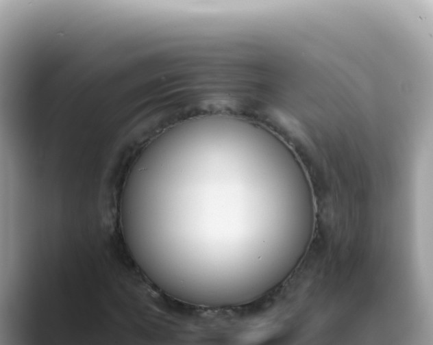 X0000089851015200707051111
