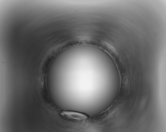 X0000089851016200707051111