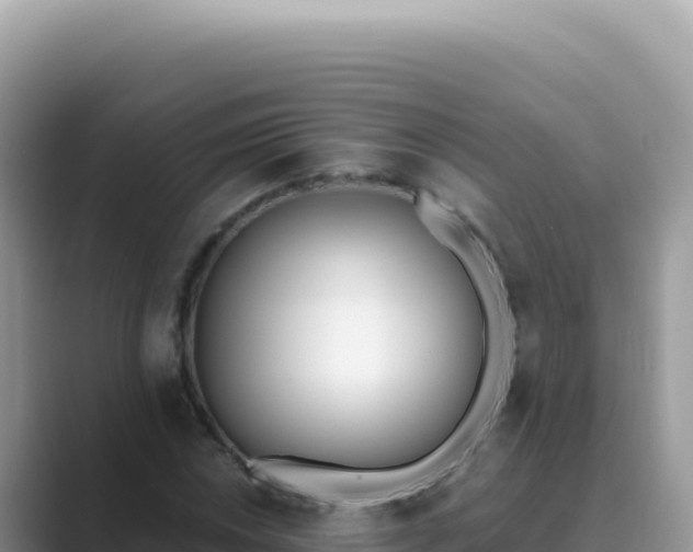 X0000089851018200707051111