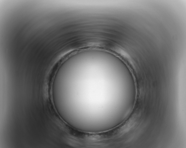 X0000089851019200707051111