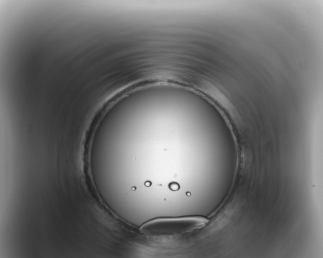 X0000089851020200707051111