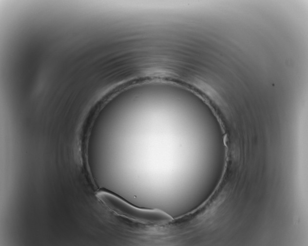 X0000089851022200707051111