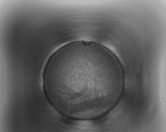 X0000089851024200707051111