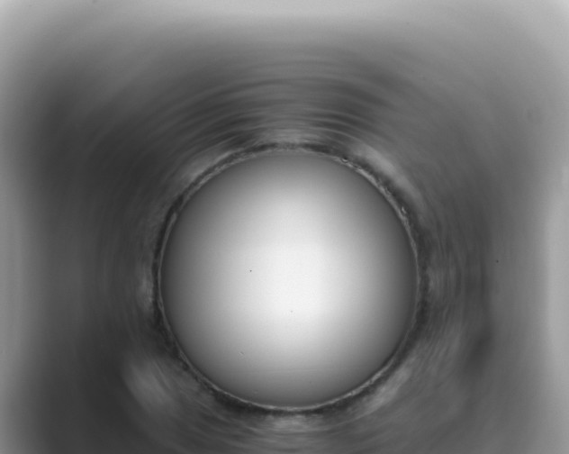 X0000089851025200707051111