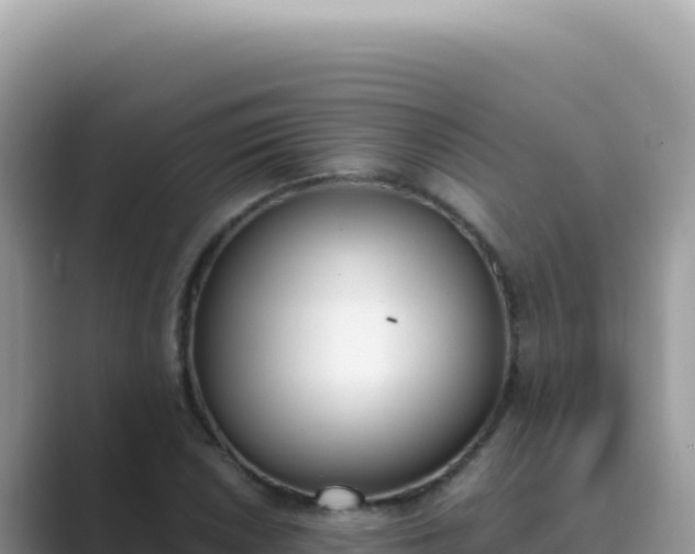 X0000089851026200707051111