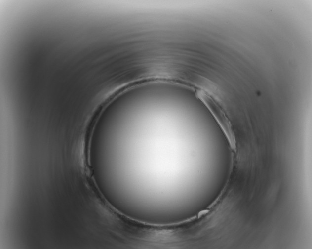 X0000089851030200707051111