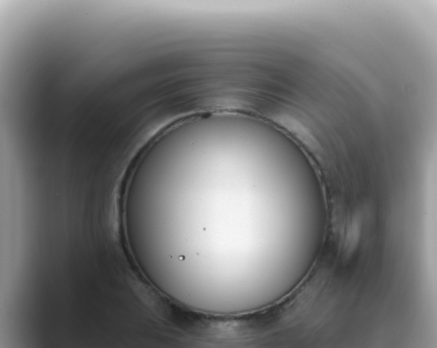X0000089851031200707051111