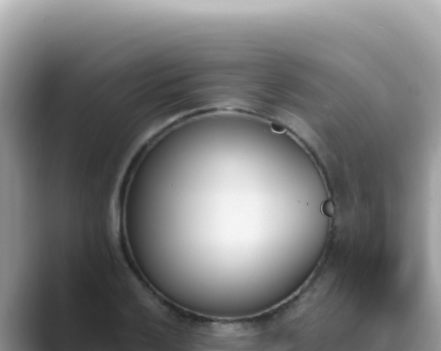 X0000089851032200707051111