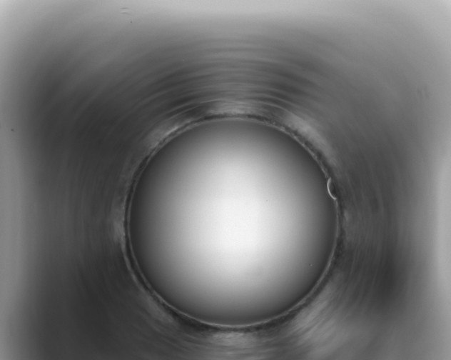 X0000089851033200707051111