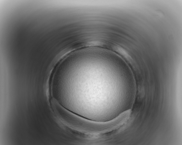X0000089851034200707051111