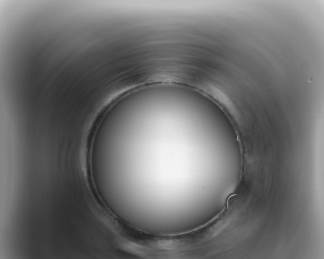 X0000089851035200707051111