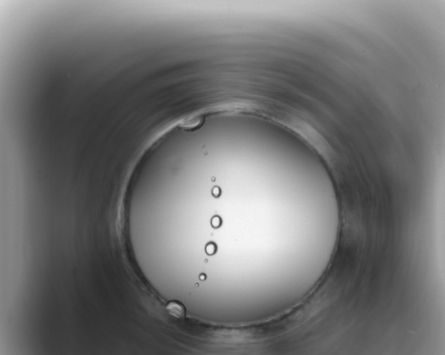 X0000089851044200707051111