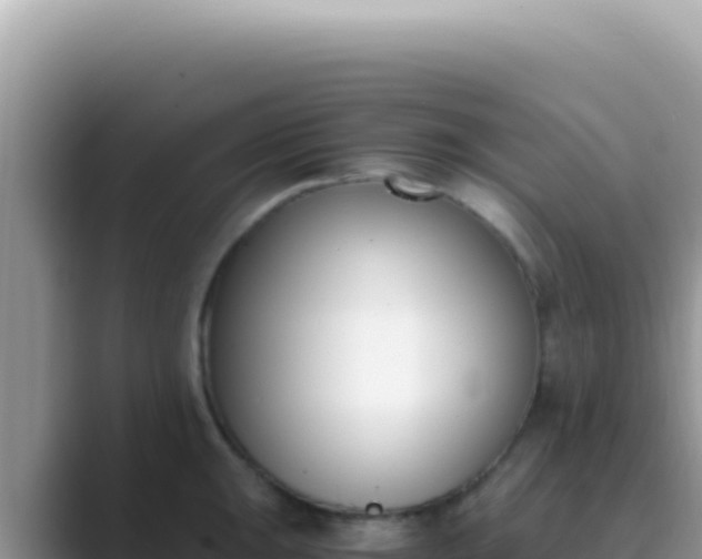 X0000089851047200707051111