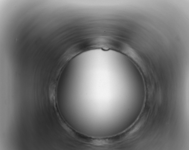 X0000089851049200707051111