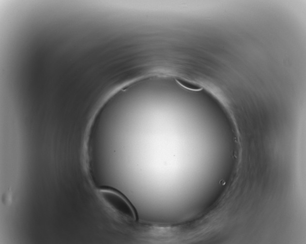 X0000089851056200707051111