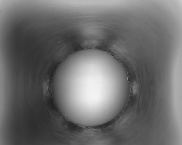X0000089851059200707051111