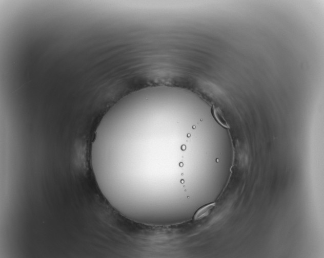 X0000089851060200707051111