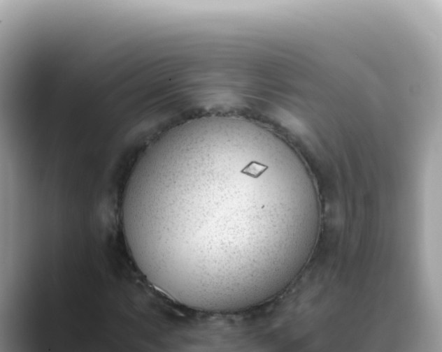 X0000089851063200707051111