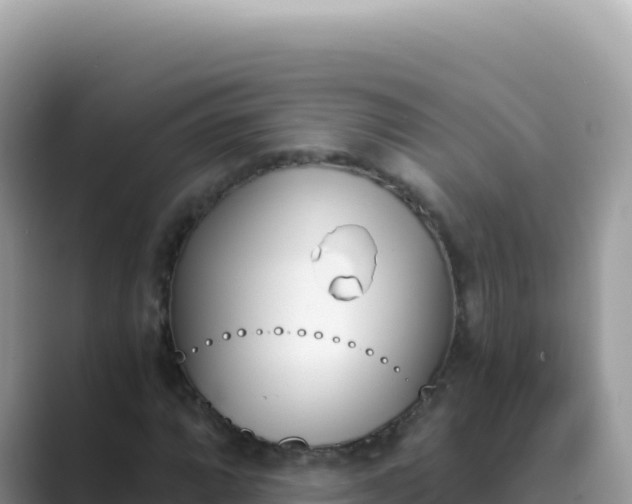 X0000089851064200707051111