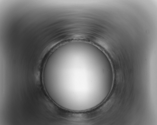 X0000089851066200707051111