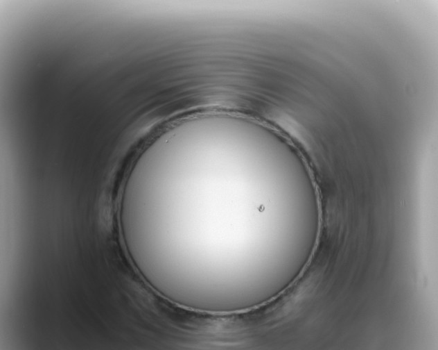 X0000089851067200707051111