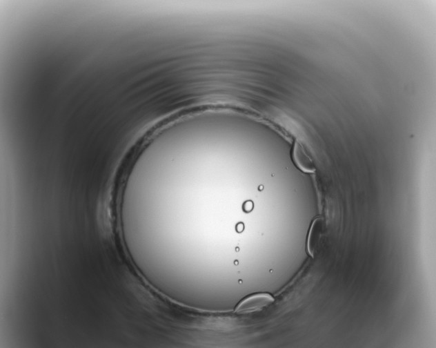 X0000089851068200707051111
