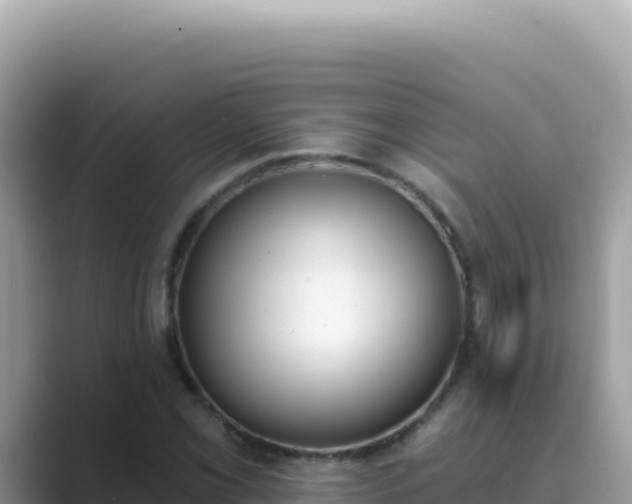 X0000089851069200707051111