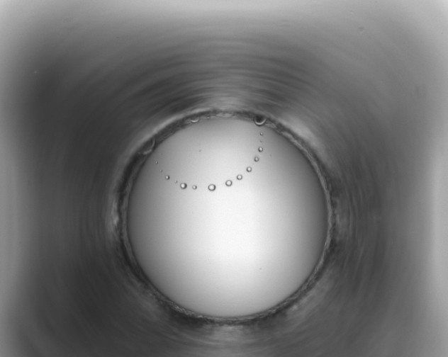 X0000089851070200707051111