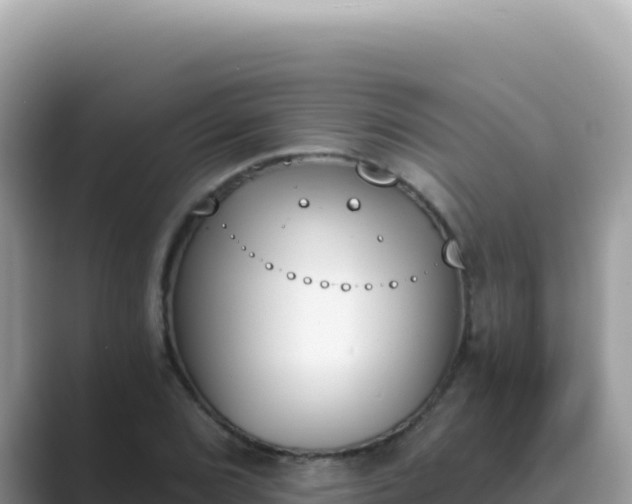 X0000089851072200707051111