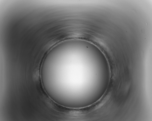 X0000089851073200707051111